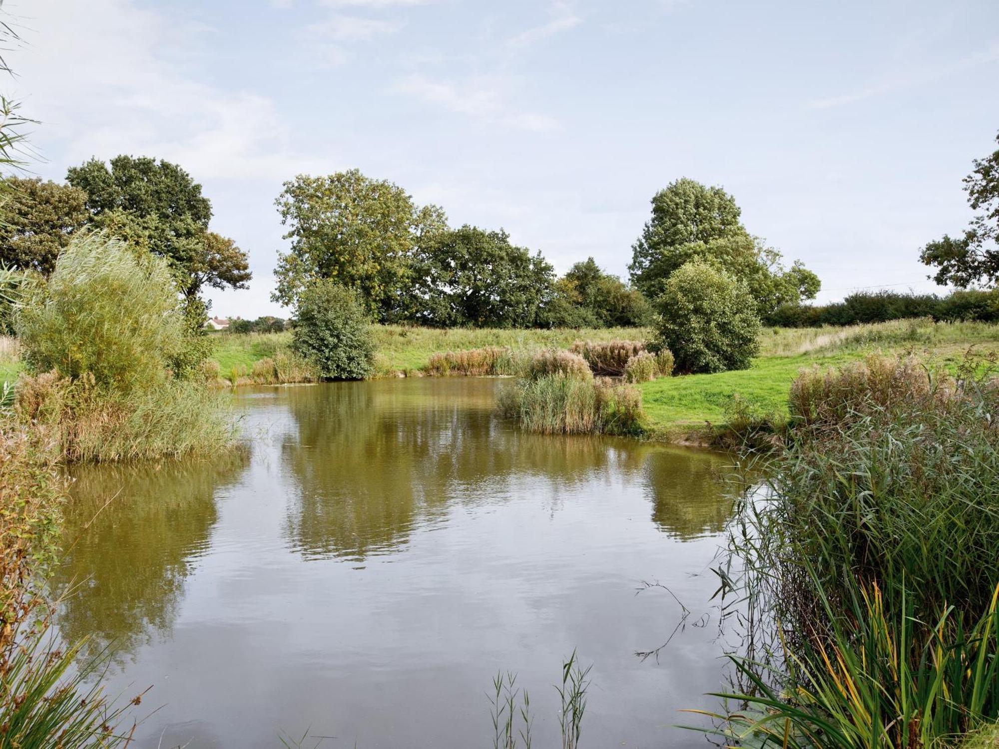 Mint - E4322 Villa Ludham Luaran gambar